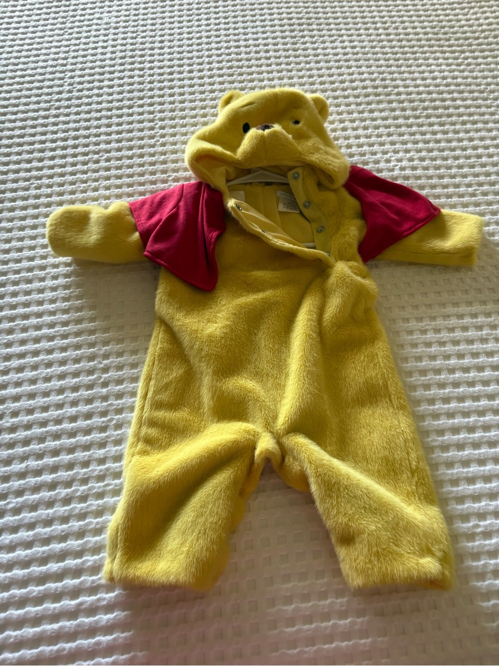 Pottery Barn Kids plush Winnie the Pooh costume